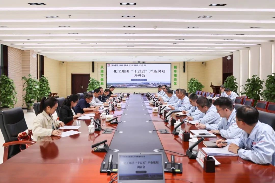 蒲洁能化“十五五”产业规划调研.jpg