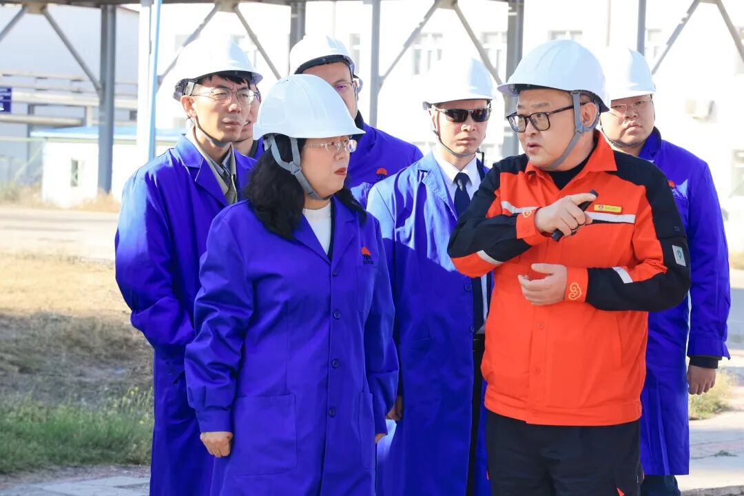 241761290347694736.jpg 刘江平大使一行考察陕煤集团中大石油.jpg