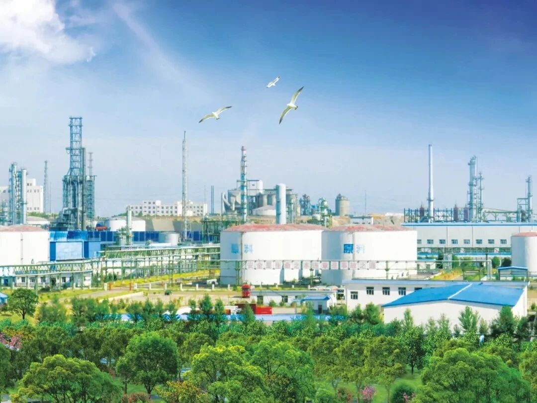 241761293131173519.jpg 60c4613c5bad24a0bfc6fdc14575b9af_20251021112727_50433.jpg