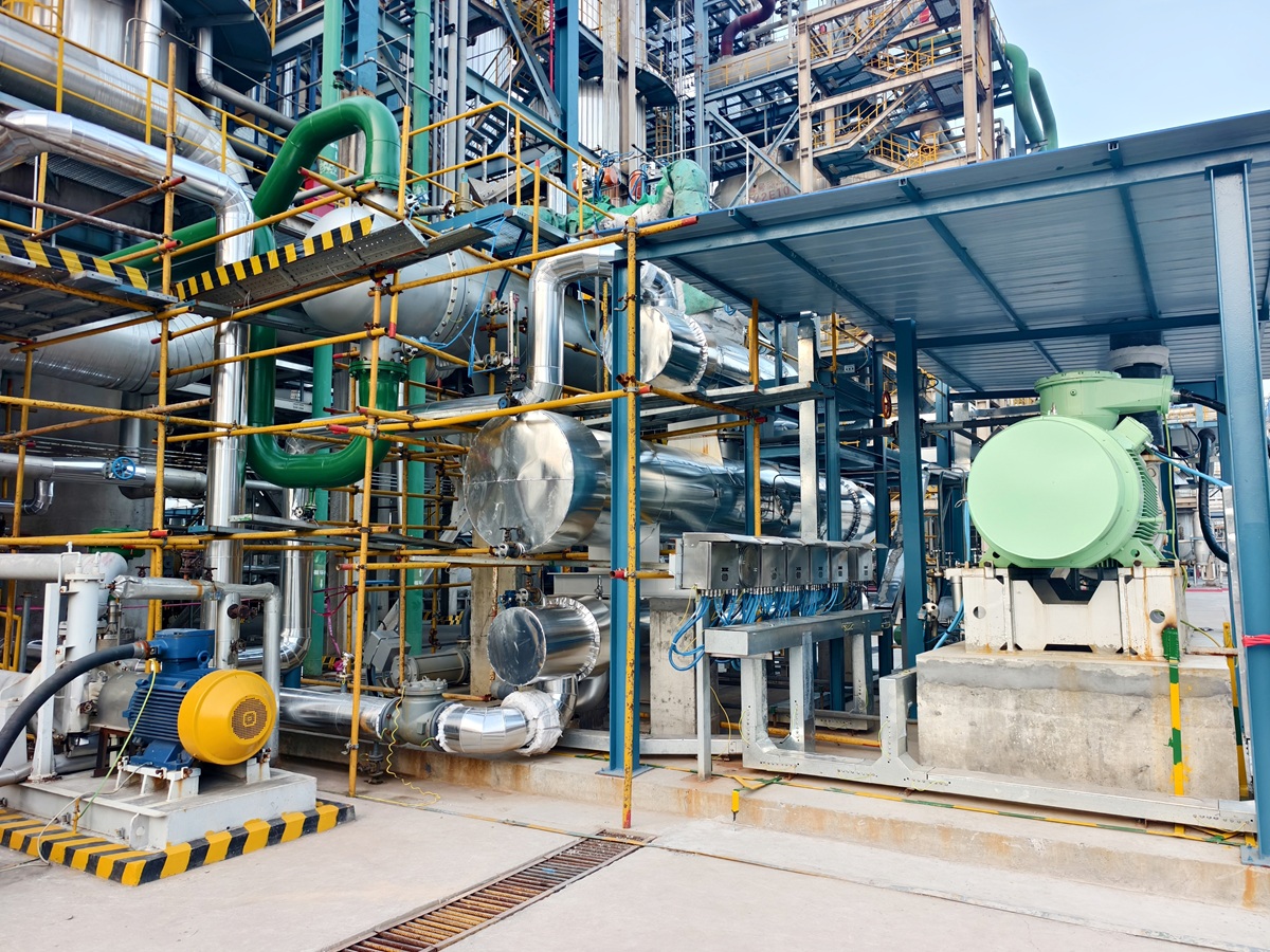 111762851007483533.jpg 2.jpg